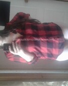 Анкета проститутки Роза - метро Ясенево, возраст - 24